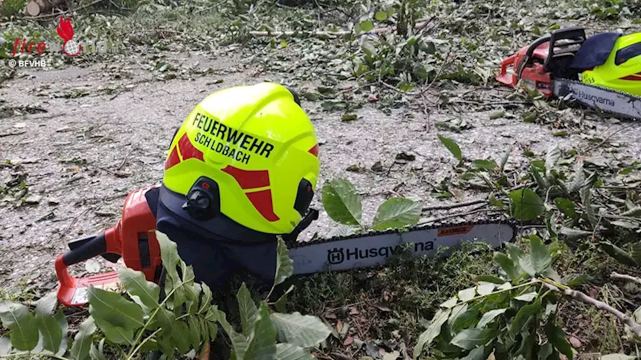 September 2024 → Feuerwehren des BFV Hartberg (Steiermark) im Sturm-Einsatz (Gesamtbericht)