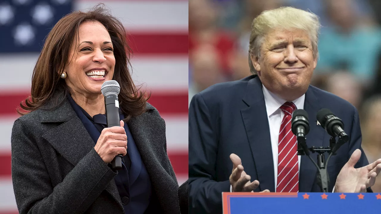 Election 2024: Latest polling shows Harris extending lead over Trump