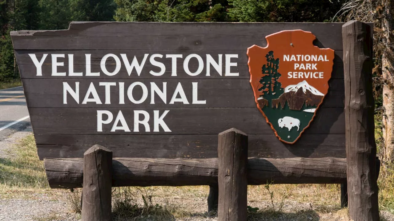 Woman Suffers Severe Burns After Falling Into Hot Springs at Yellowstone