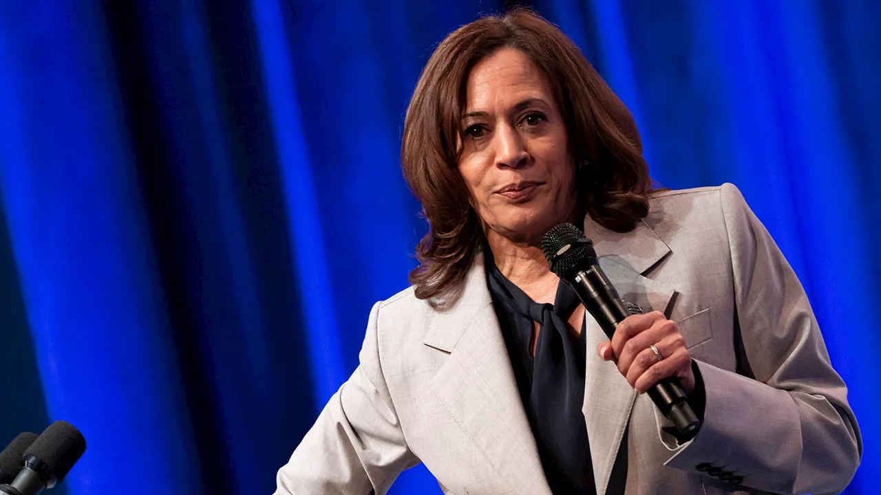 Kamala Harris Mocked For Another 'Word Salad' Speech, This Time About 'The Children Of The Community'