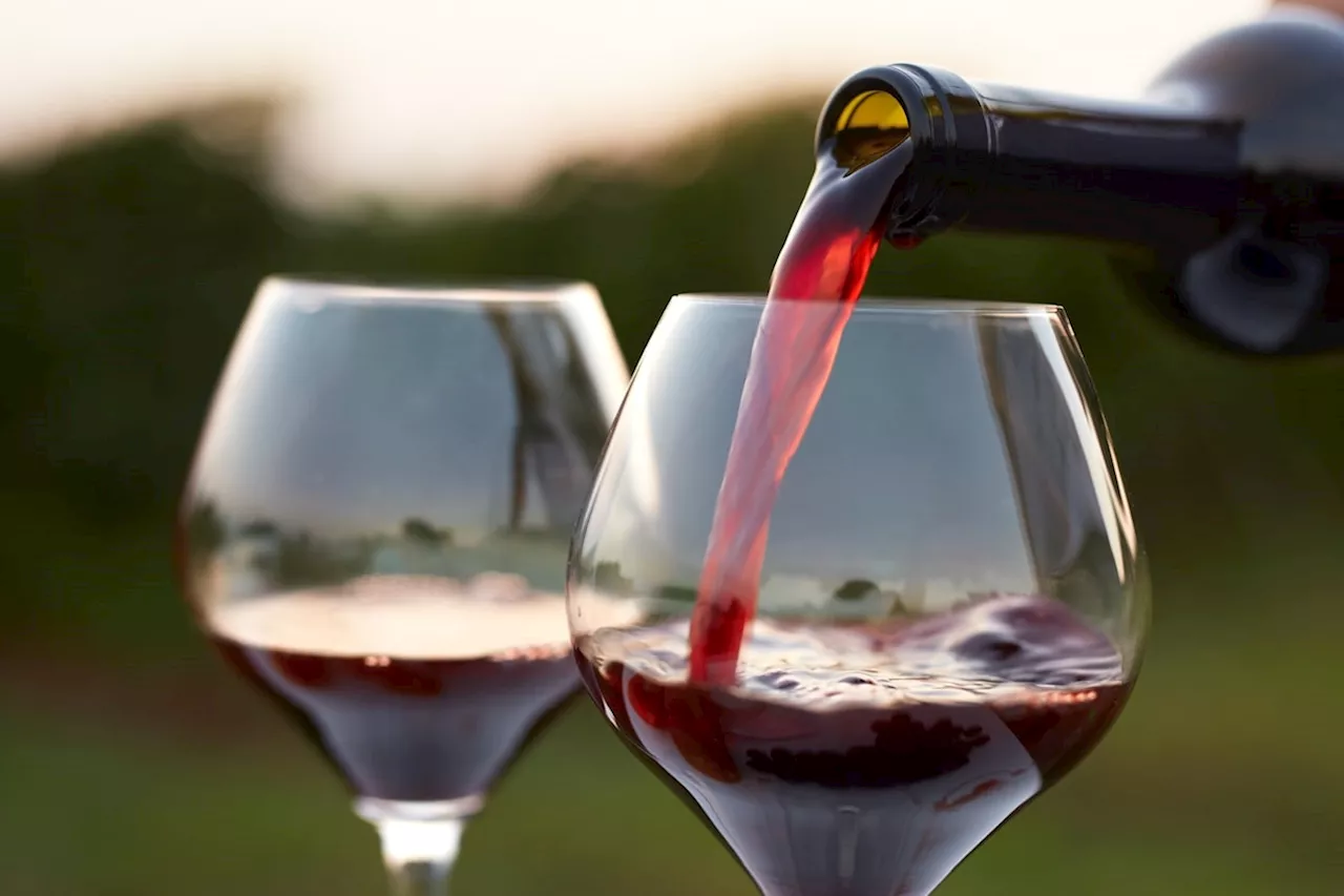 Four tips for keeping wine fresh after opening