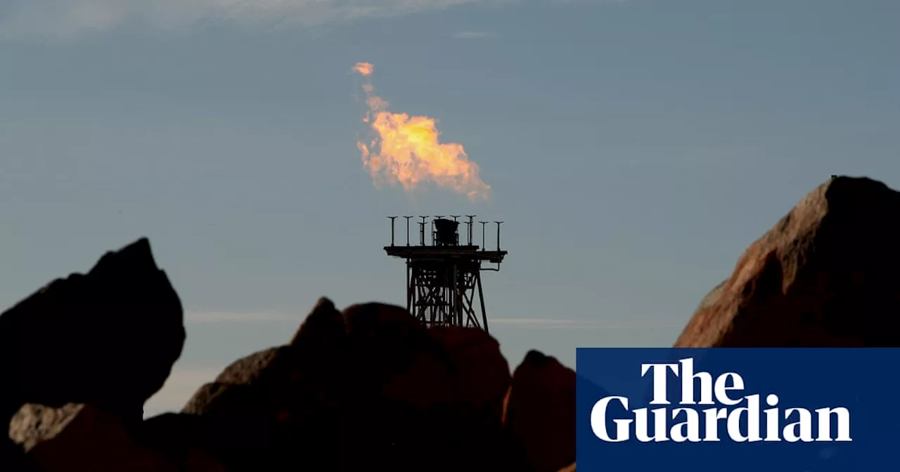 Western Australia’s decision to lift gas export ban will drive up emissions, conservationists say