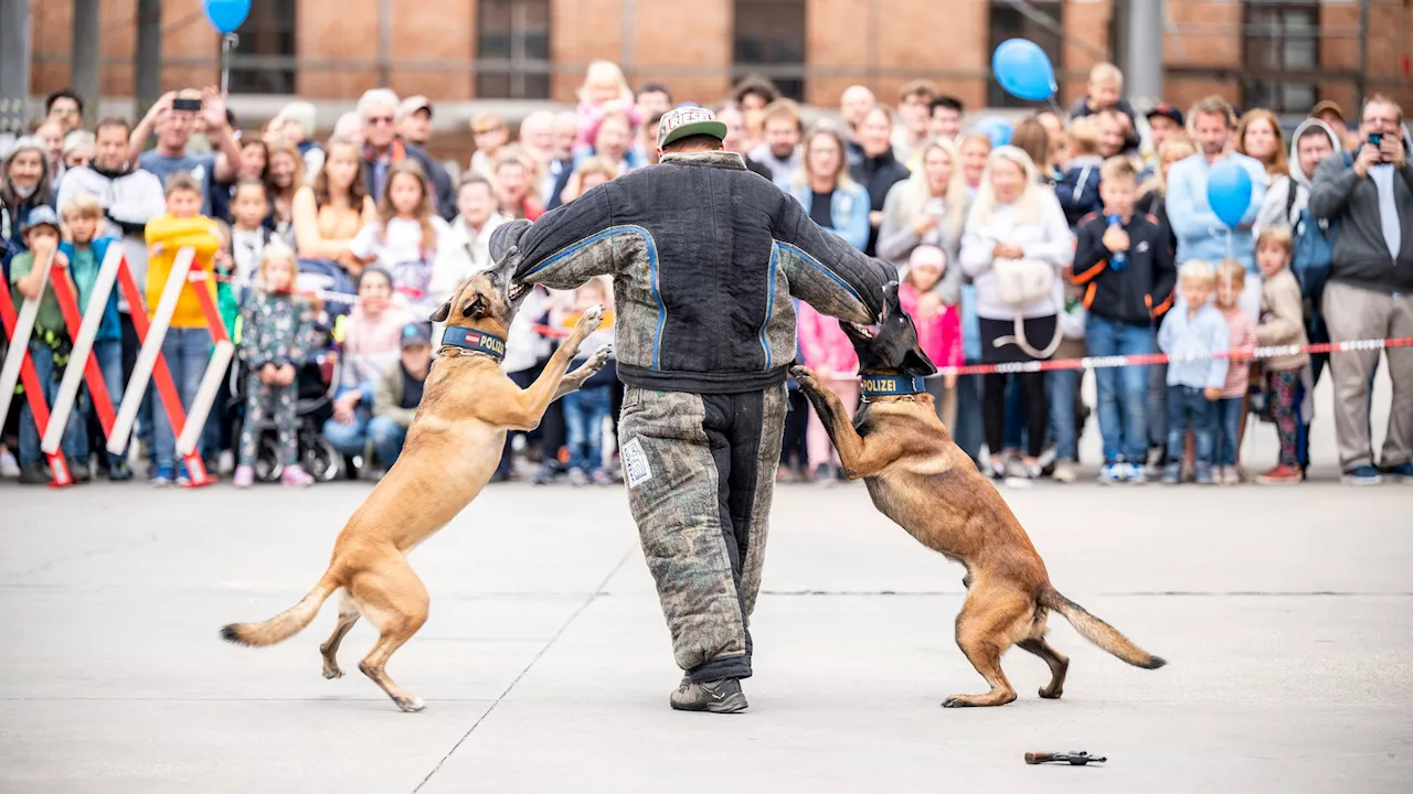 Hart arbeiten, hart feiern: Tag der Wiener Polizei am 21. September