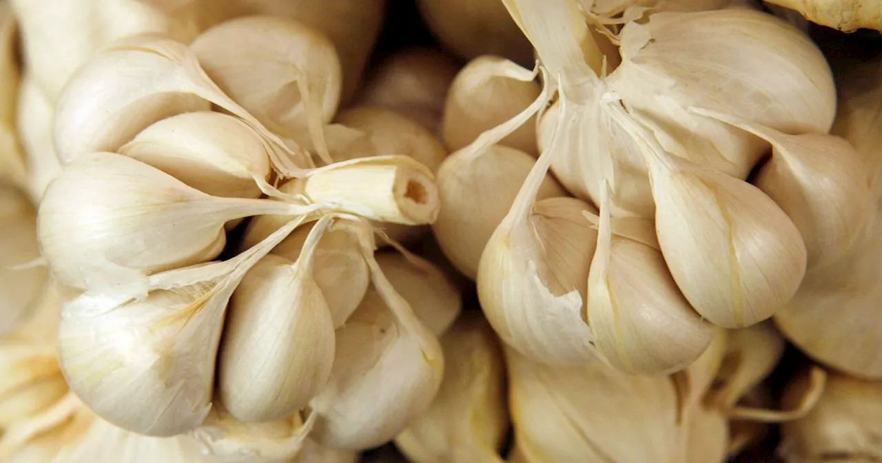 I Just Learned The Worst Place To Store Garlic, And I've Always Kept Mine There