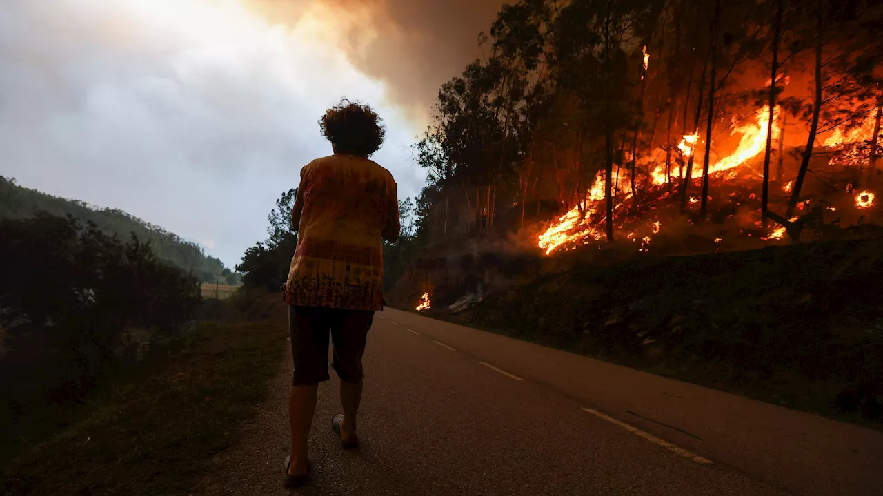 Incendios en Portugal: declaran la zona catastrófica en los municipios afectados