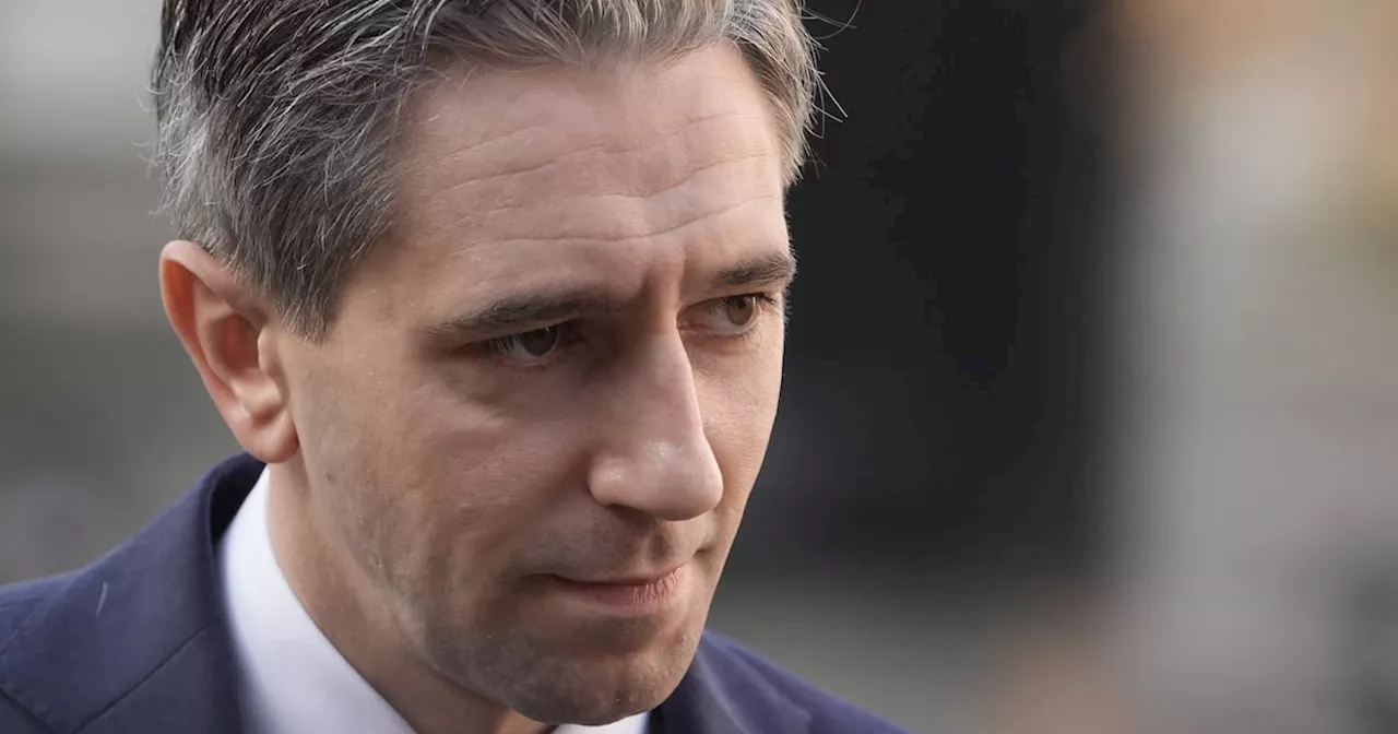 Simon Harris has the momentum but Sinn Féin’s slide continues