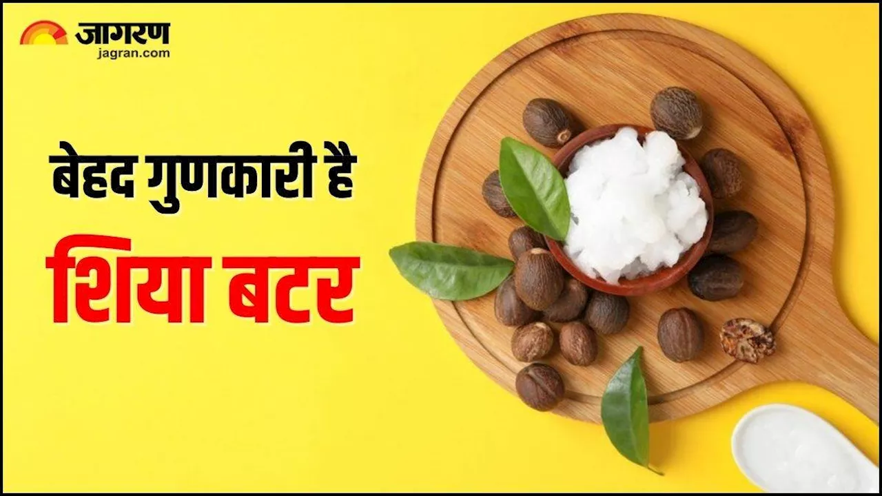 त्वचा और बालों से जुड़ी अनगिनत समस्याओं का समाधान कर सकता है Shea Butter, जानकर आप भी रह जाएंगे दंग