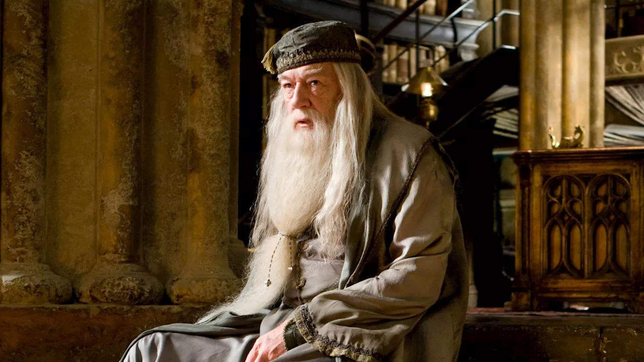 Diesmal Dumbledore: „Harry Potter“-Star äußert Interesse an der neuen Fantasy-Serie