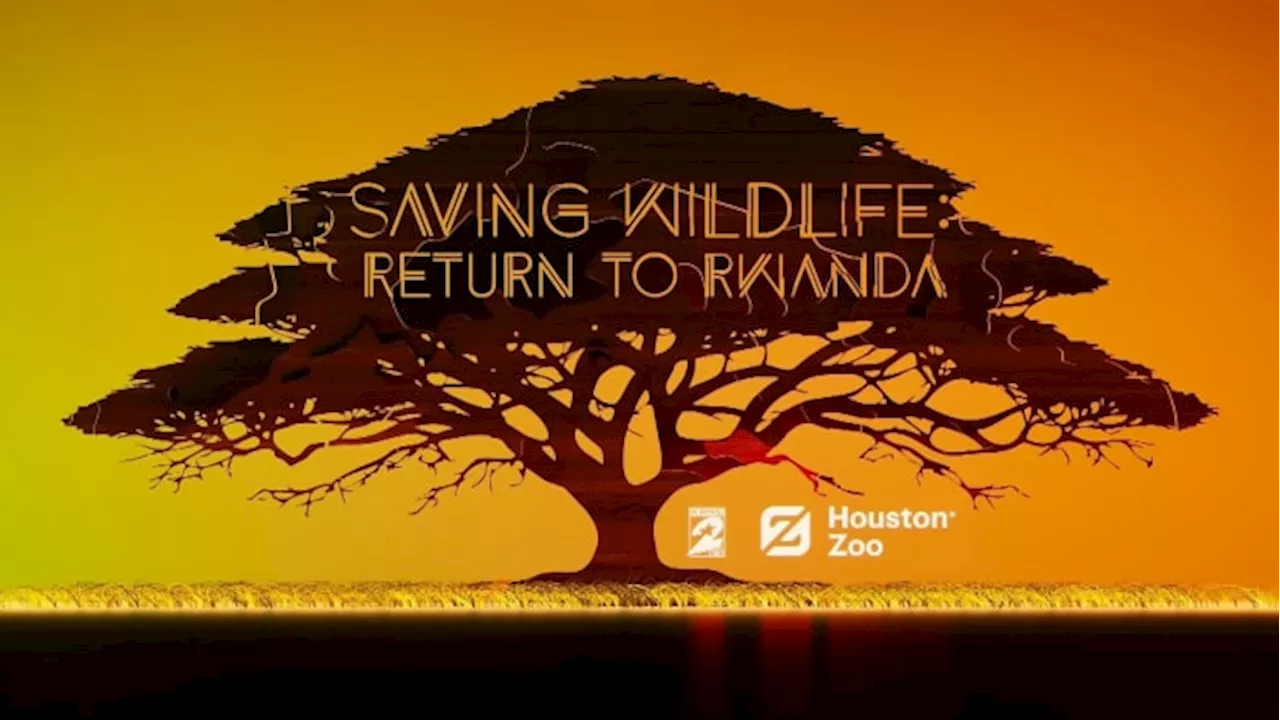 Watch ‘Saving Wildlife: Return to Rwanda’ from KPRC 2 and the Houston Zoo