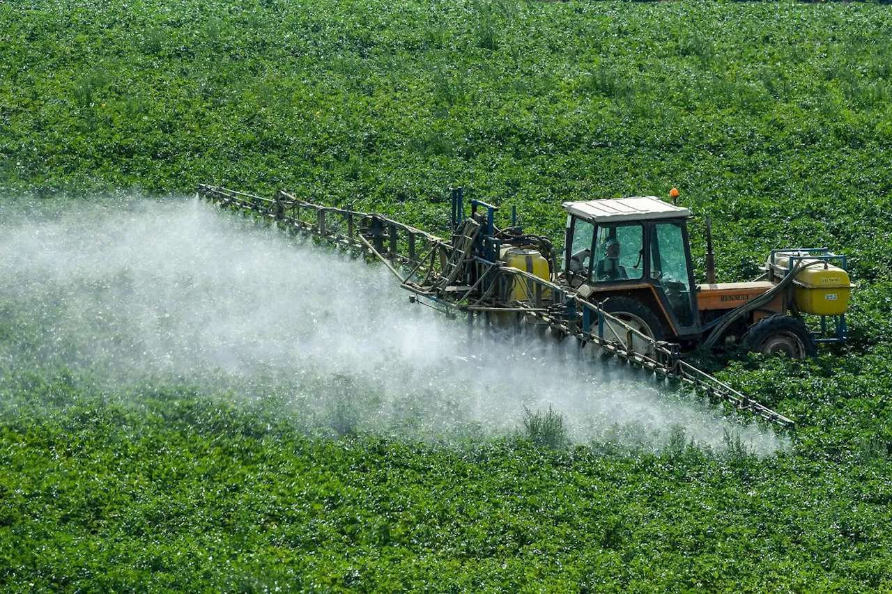 Du bidon d'urine humaine à l'engrais durable: une expérience locale qui compte faire des émules