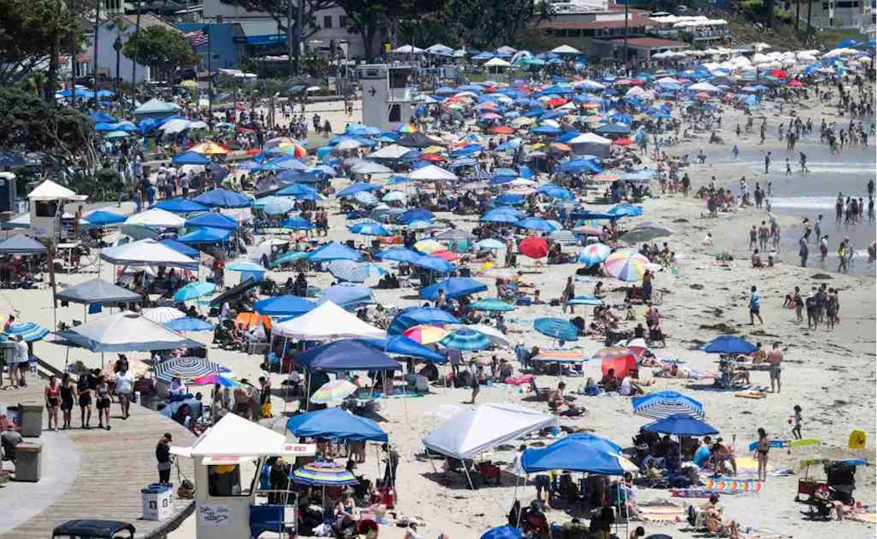 The business of beaches: leaders gather to discuss impacts of a disappearing coast