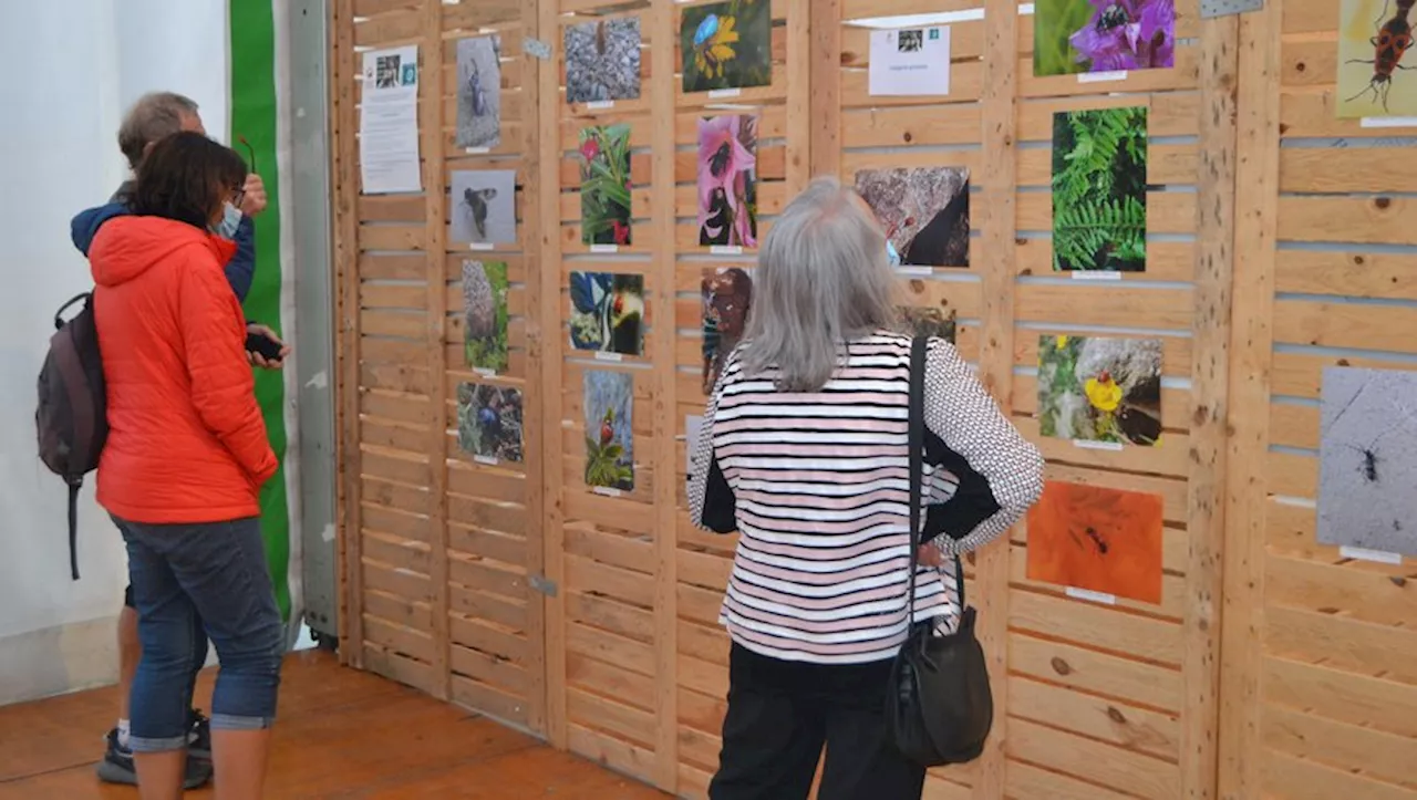 Cauterets : 'Le Festival Pyrénéen de l’image Nature', la nature pour passion