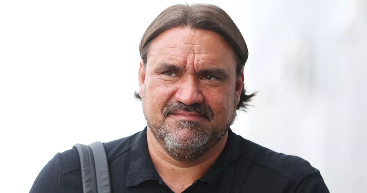 Daniel Farke press conference LIVE with Leeds United boss on injuries, transfers and Cardiff City