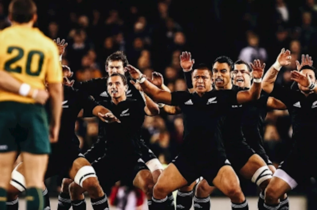Bledisloe Cup: All Blacks expecting ‘hell of a clash’ with Wallabies despite being favourites