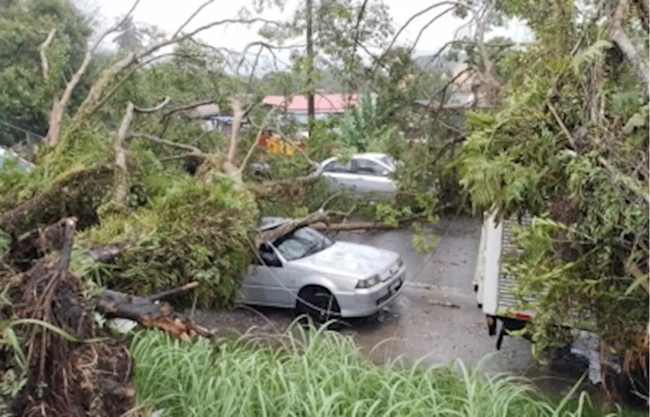 Fallen trees everywhere: Fire Dept receives 2,575 reports between January and July this year, Selangor records highest incidence