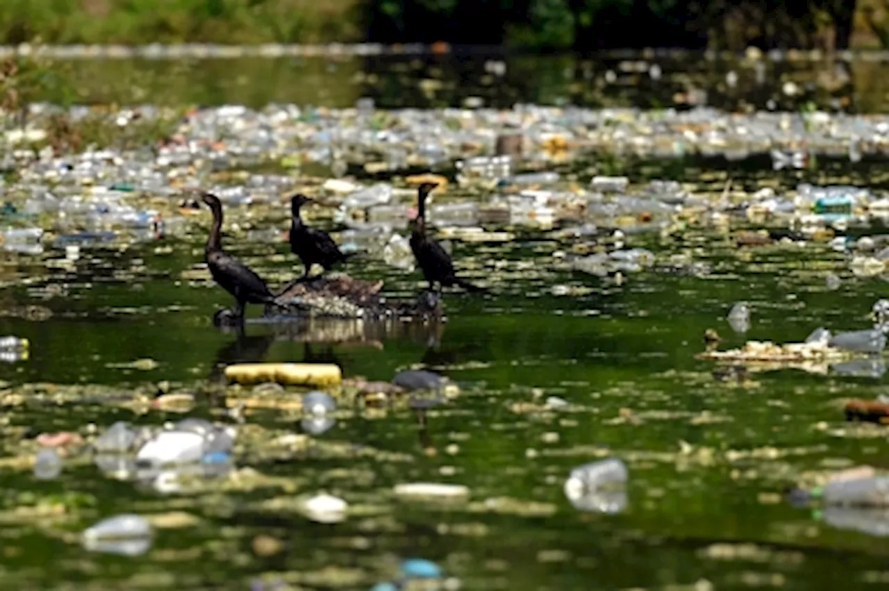 Our world is drowning in plastic: Where does our ocean waste really come from?