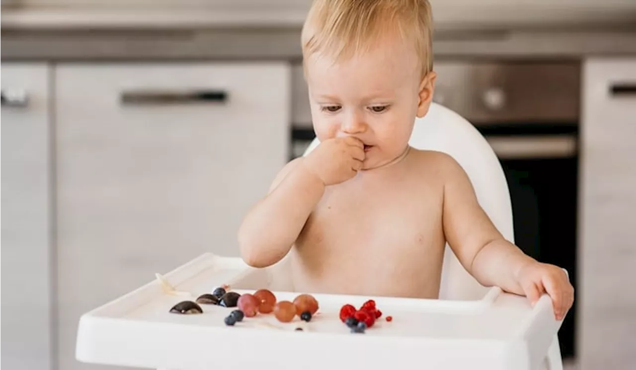 Mengenalkan Beragam Makanan Sejak Dini Buat Anak tidak Pilih-Pilih Makanan