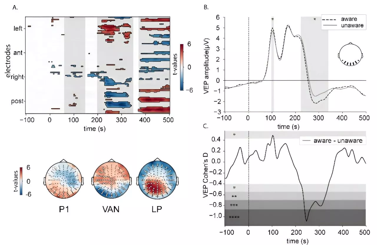 Researchers show how breathing and heartbeat influence perception