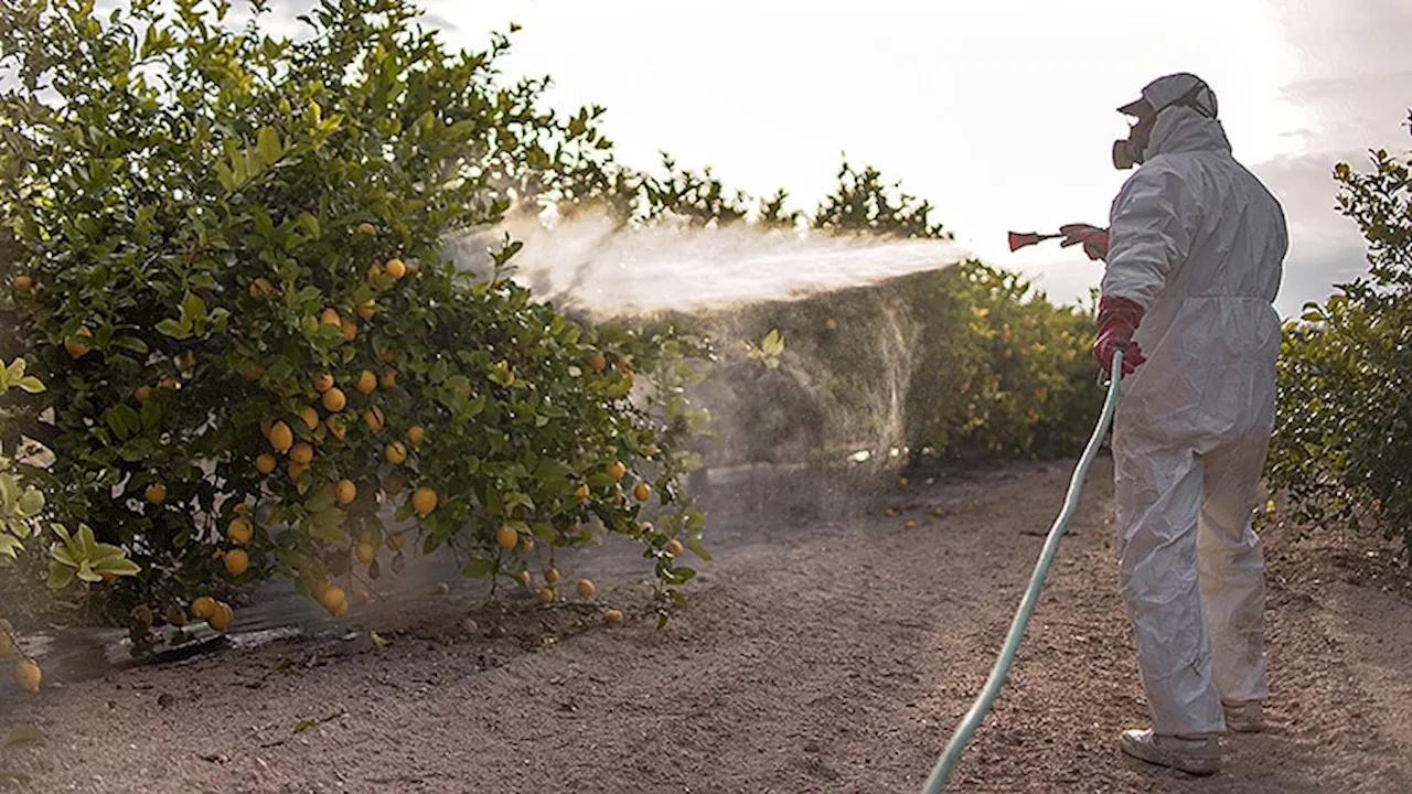 Cancer Risk: Are Pesticides the New Smoking?