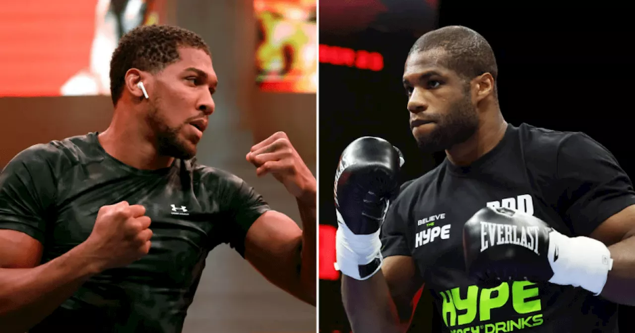 Anthony Joshua vs Daniel Dubois: What really really happened when they sparred