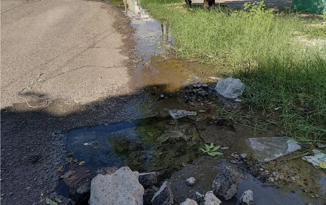 Fuga de agua potable cumple dos semanas en la colonia Moderna de Torreón