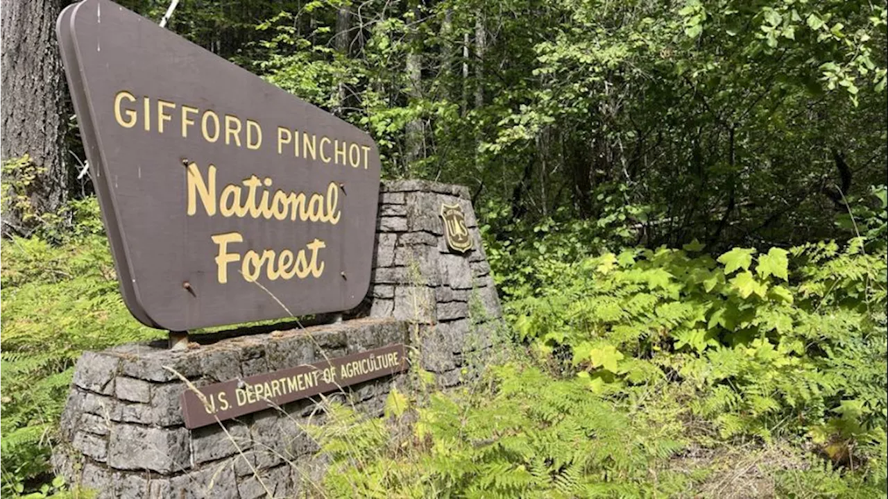 Human remains discovered for third time in one month at Gifford Pinchot National Forest