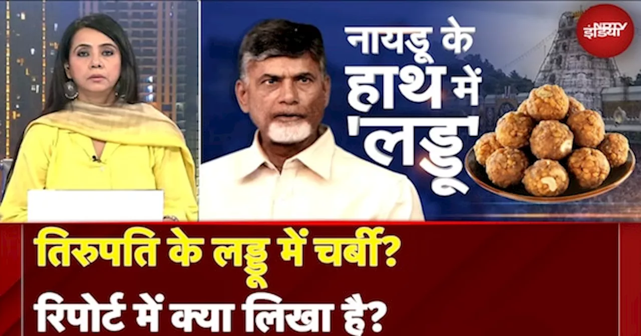 Tirupati Laddoo: Chandrababu Naidu के बयान से धमाका, तिरुपति के लड्डू में जानवर की चर्बी