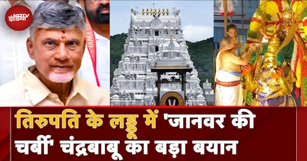 Tirupati Temple: तिरुपति के लड्डू में 'घी की जगह जानवर की चर्बी' Chandrababu Naidu का बड़ा बयान