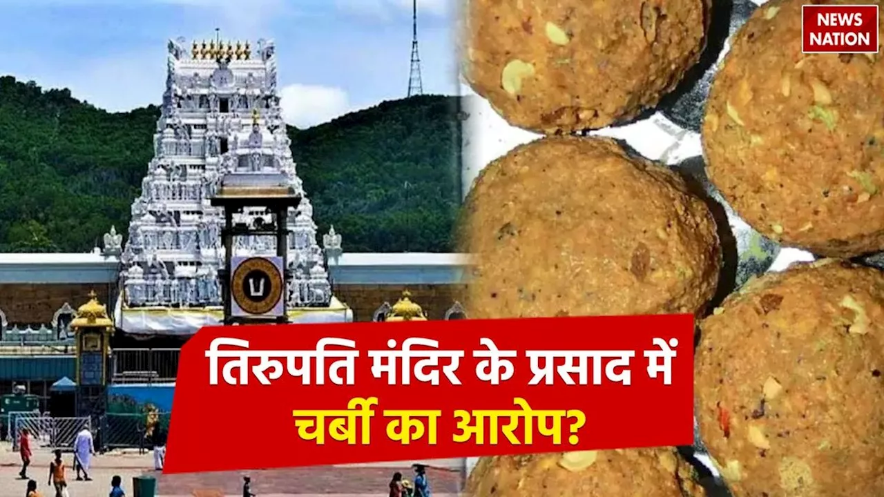 Tirupati Temple: तिरुपति मन्दिर के प्रसाद पर सवाल, लड्डू में जानवरों की चर्बी का मामला