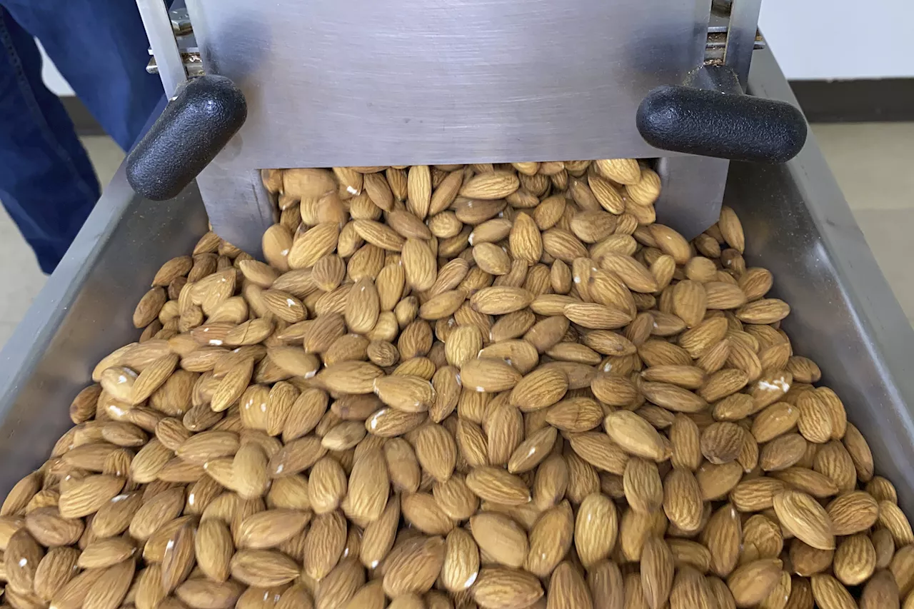 Wegmans Nuts Recall Update As FDA Sets Risk Level For 8 States