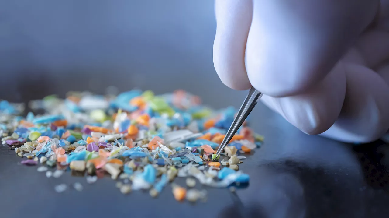 'Widespread Harm' Warning as Microplastic Pollution May Double by 2040