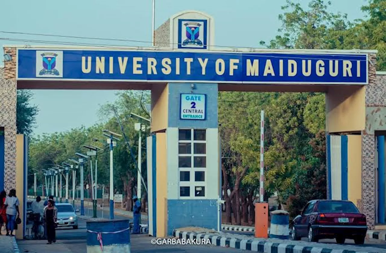 Amid flood crisis, UNIMAID gets new substantive VC