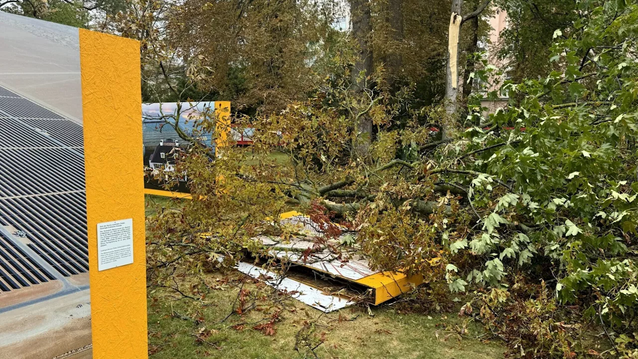 Badener Parks fast vollständig wieder geöffnet - auch Fotoausstellung