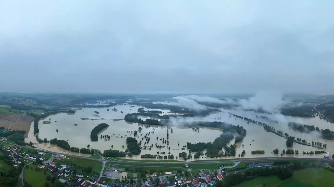 Land unter in der Au bei Ardagger