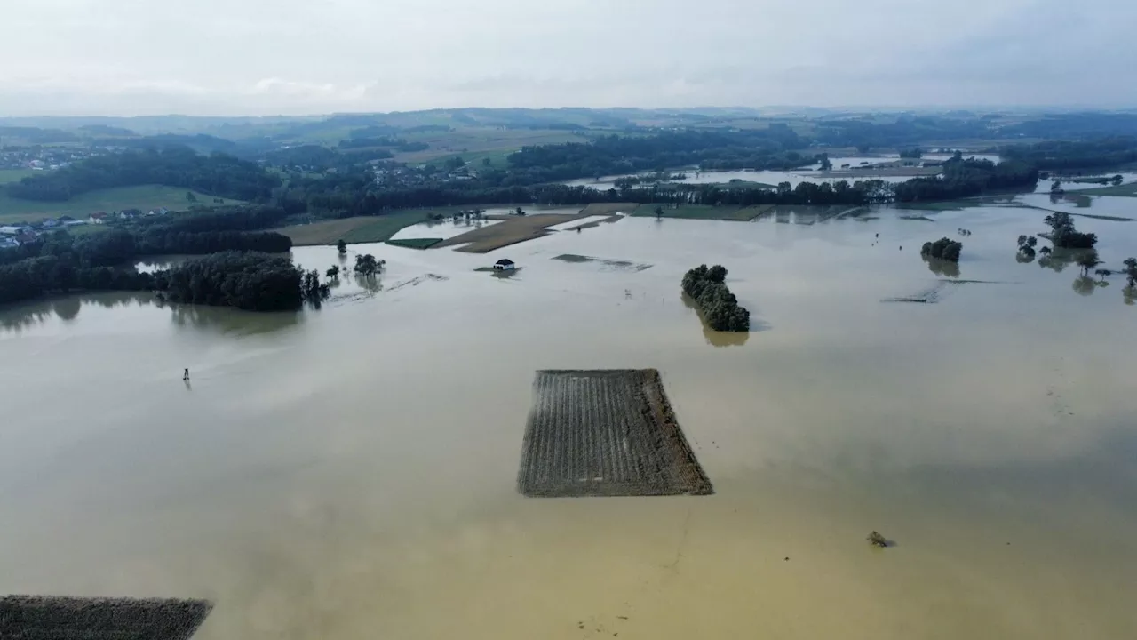 Landwirtschaft erleidet Millionenschaden