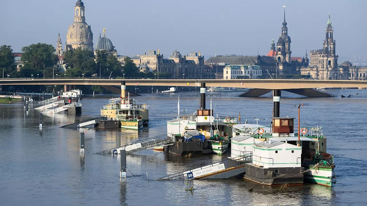 Sachsen: Fridays for Future ruft zum Klimastreik auch in Dresden auf