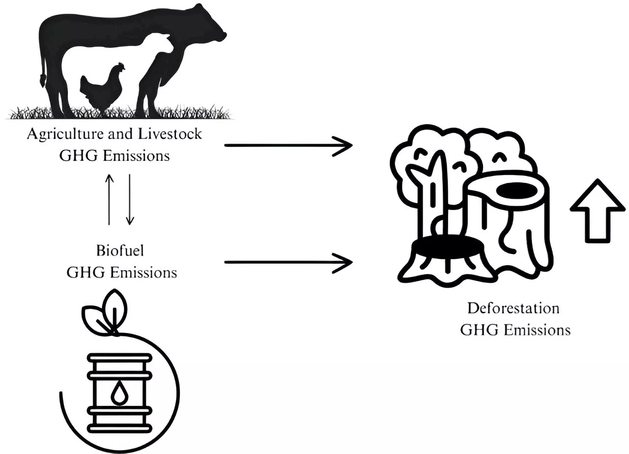 Assessing the environmental impacts of Brazil's biofuel sector