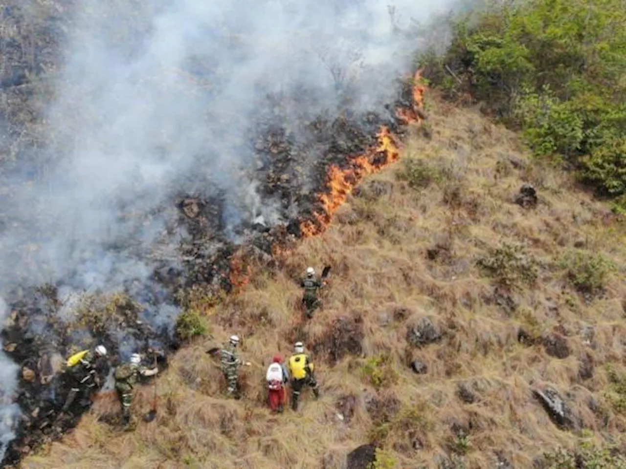 Los retos medioambientales del país en la antesala de la COP16 de Cali