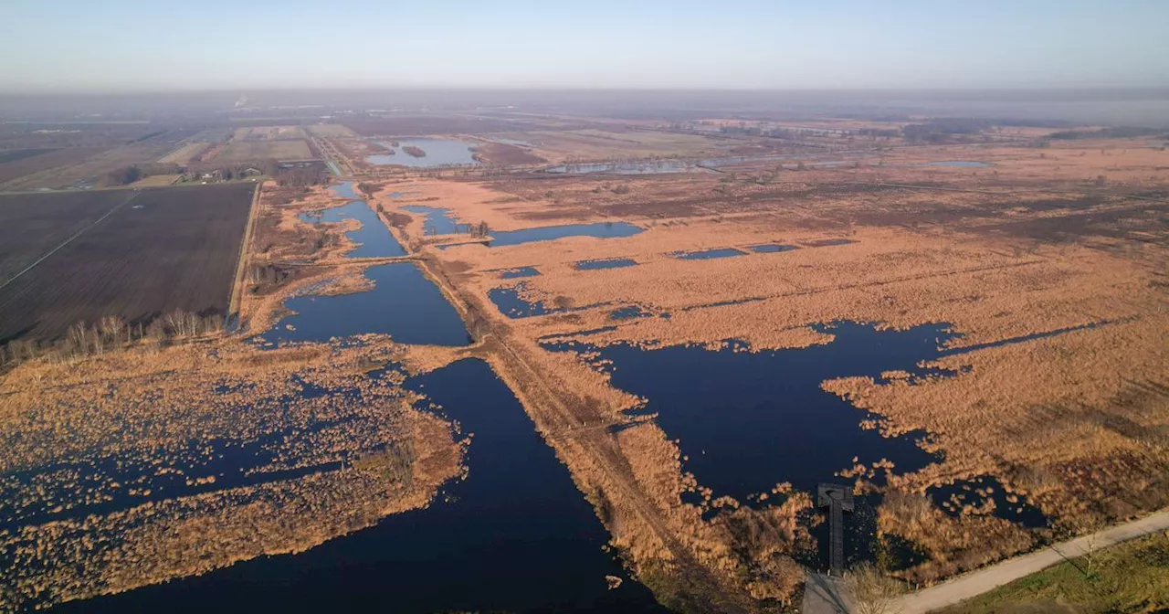 Verkoop Buffer Zuid bij Bargerveen start op zijn vroegst in 2028