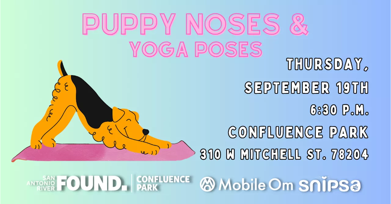 Puppy Noses and Yoga Poses