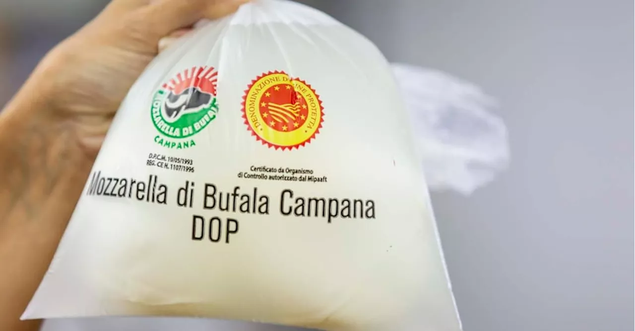 Bufala, la ricchezza di latte e mozzarella in un congresso internazionale