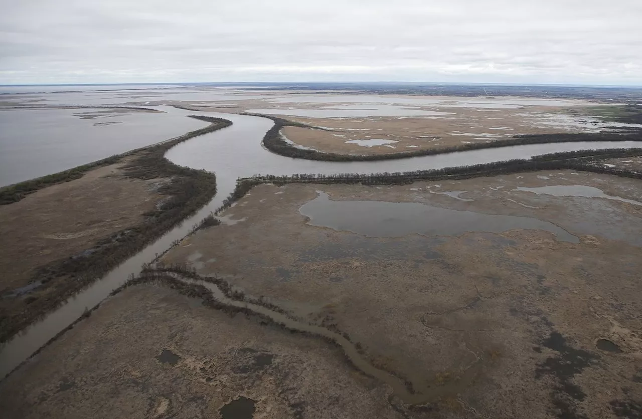 Lawsuit by Manitoba chiefs urges Lake Winnipeg be legally defined as a person