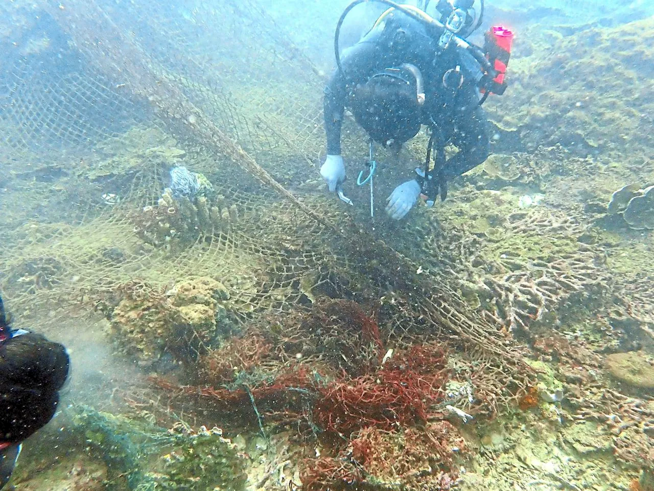 Big effort to bust ghost nets