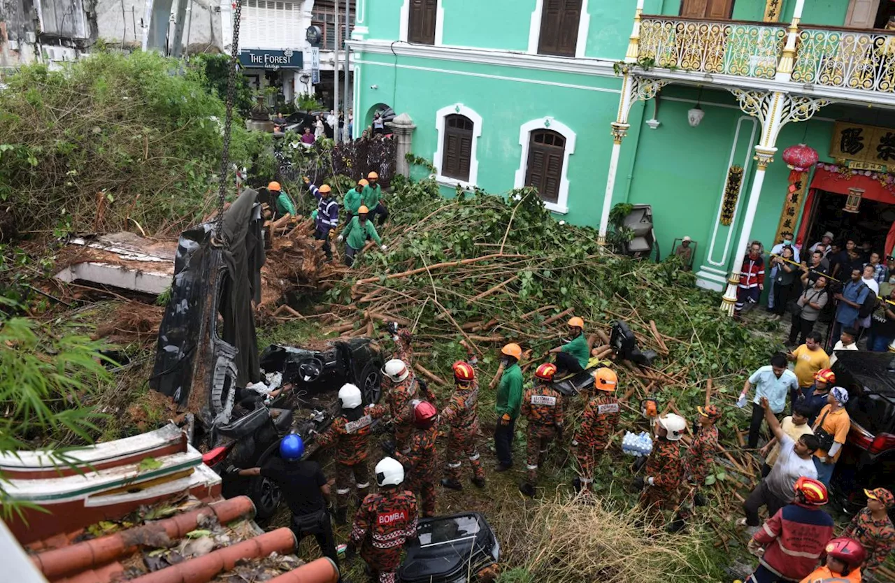 Fire Dept received 2,575 reports of fallen trees nationwide since January