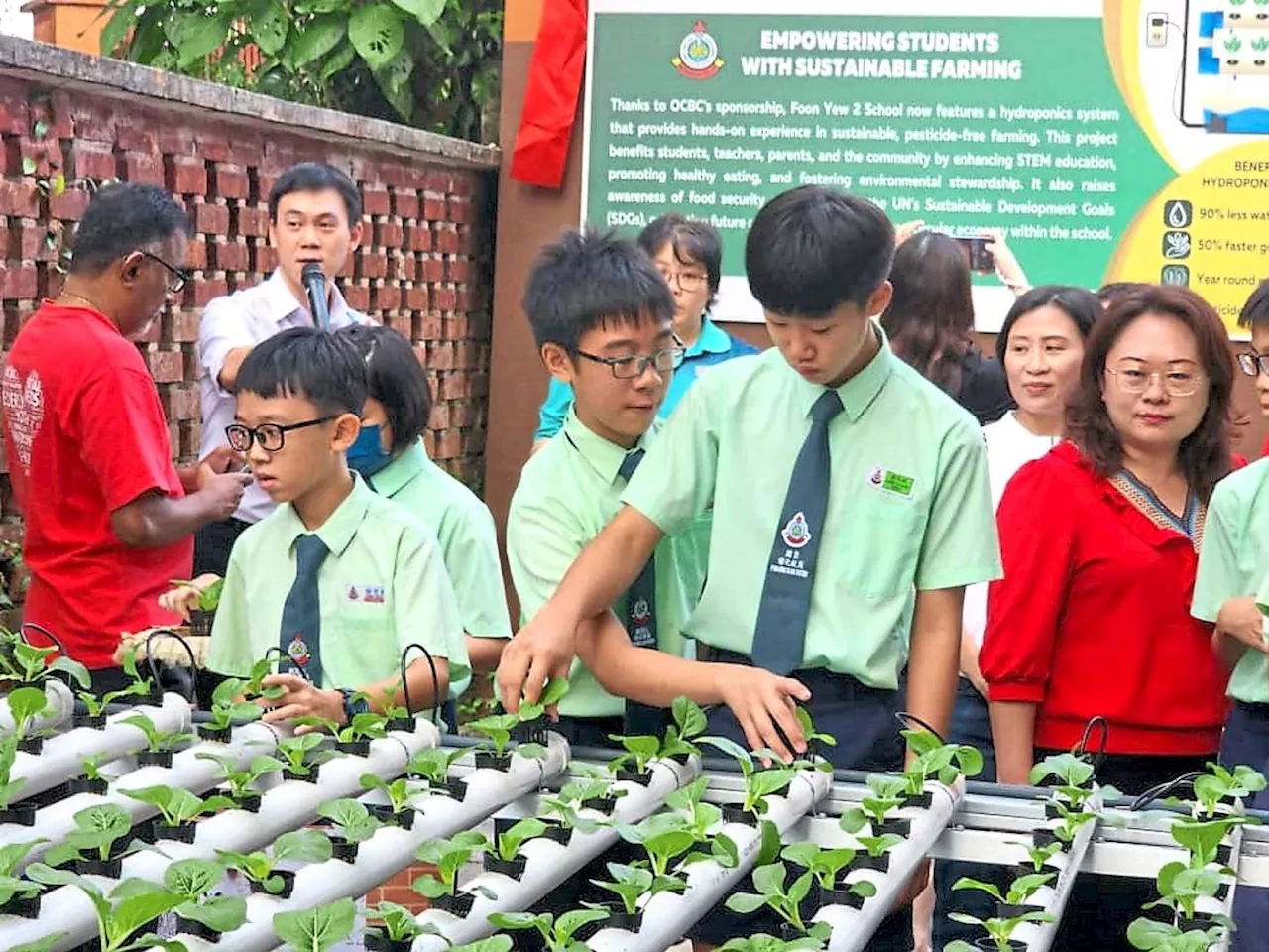 Hydroponic farming gives pupils hands-on experience