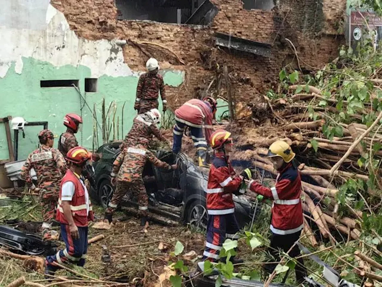 Penang cops confirm identities of Chinese tourists killed by uprooted tree