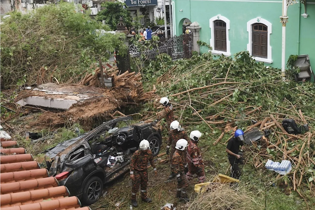 Father and daughter tourists crushed to death in Penang after trees, bamboo toppled by strong winds