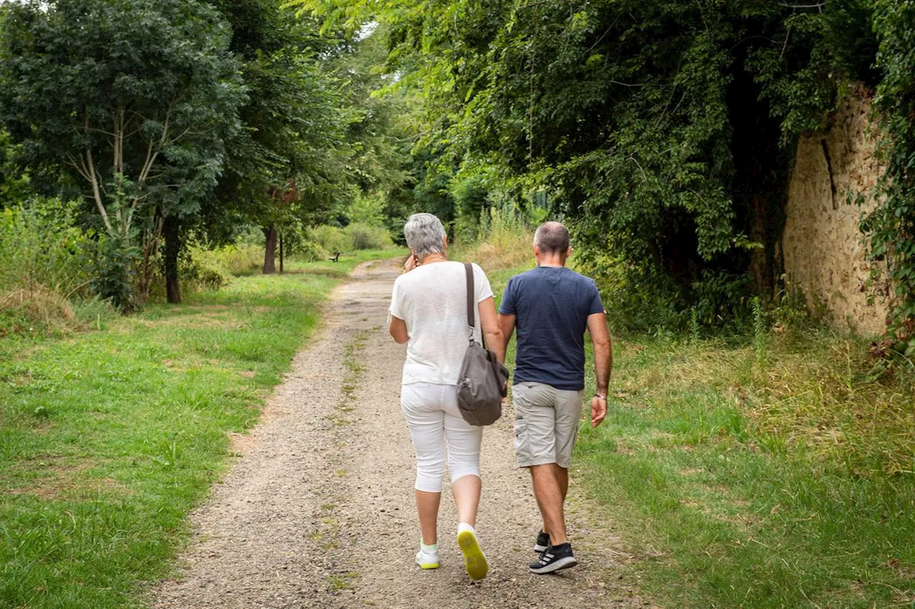 Mont-de-Marsan : le chemin de halage inaccessible durant un mois