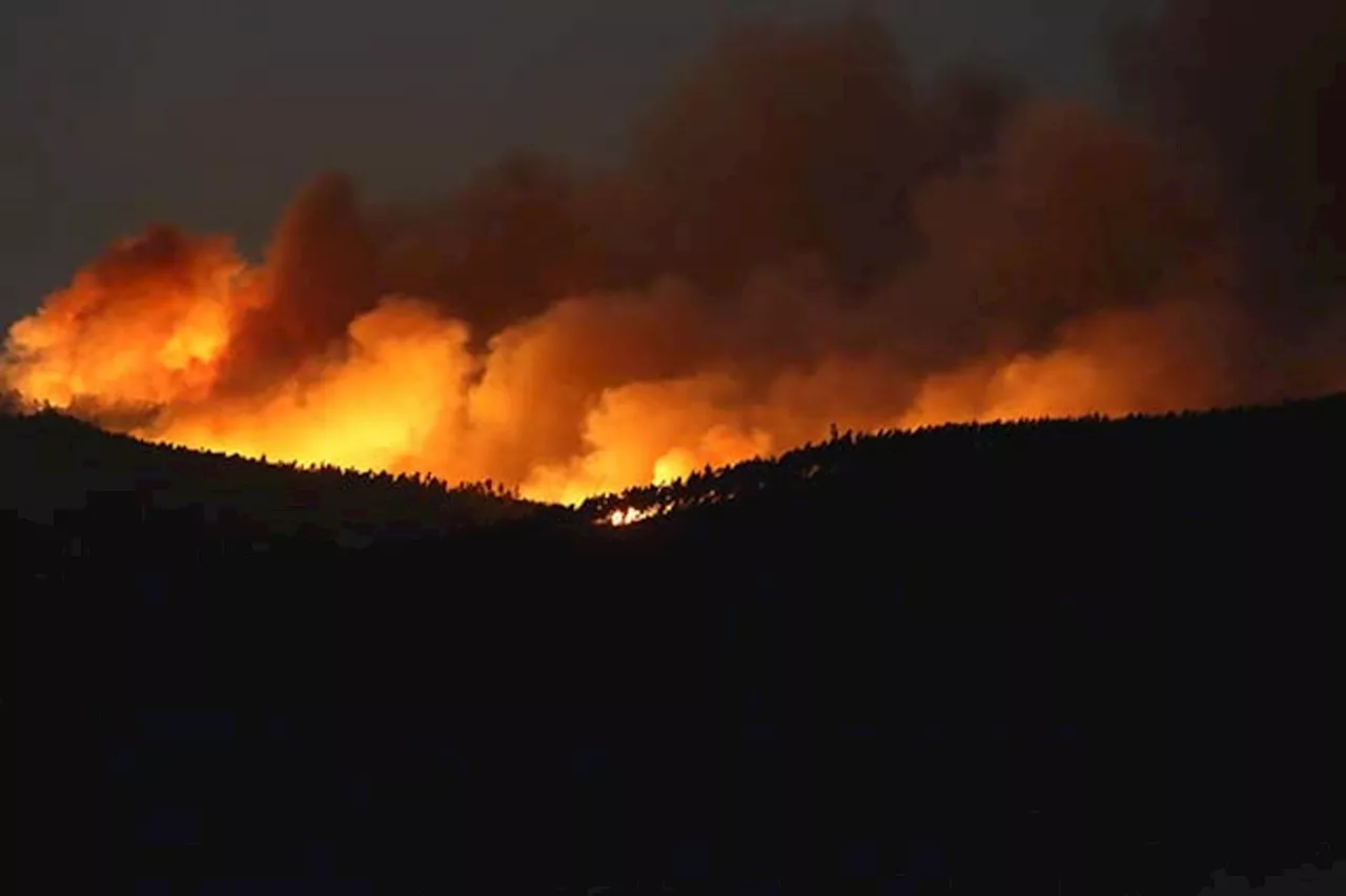 Portugal declares a state of calamity as wildfires rage out of control