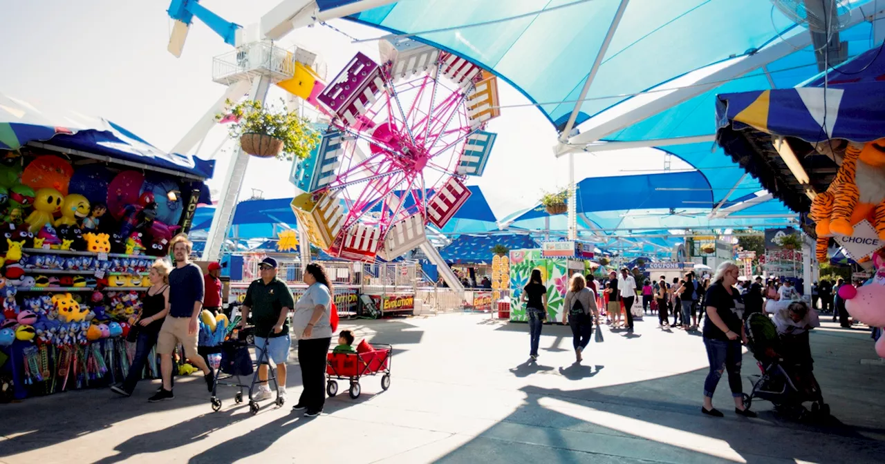 Judge allows Texas State Fair’s gun ban to stand for now